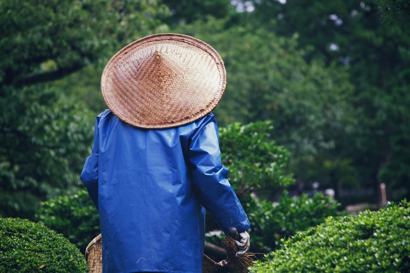 Local Gardening Activities